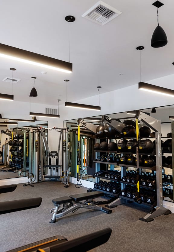 Gym Photo at Eleanor H16 Apartments