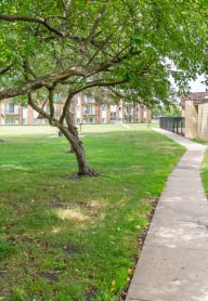a sidewalk running through a park with trees and a fence