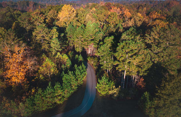an aerial view of a road in the middle of a forest