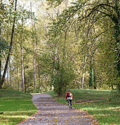 A person riding a bicycle on a leaf-covered path in a park.