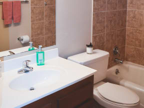 a bathroom with a sink and a toilet and a shower