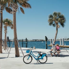 Couple Sitting on Bench Admiring Ocean View with Blue Bike Next to Them