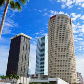 Tampa, Florida City Buildings
