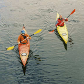 people in kayaks on the water