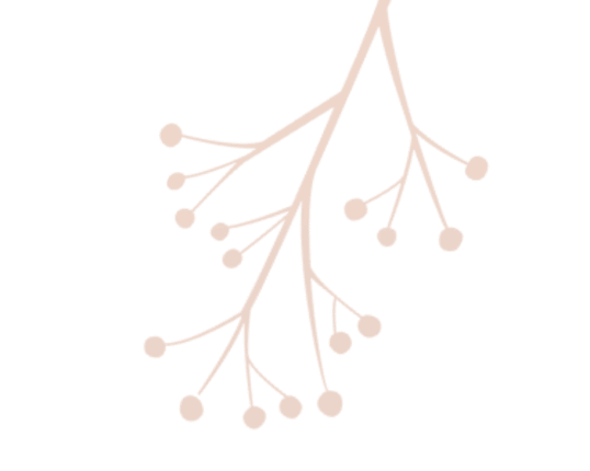 A brown branch with round berries is shown. at Society 62 Apartments, Portland, Oregon
