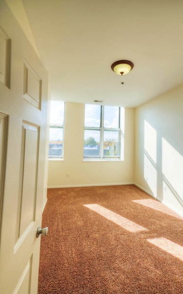 Bedroom with carpeted floor and two large windows