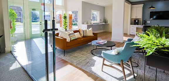 A living room with a couch, chair, and potted plant.