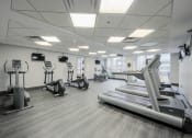 Thumbnail 20 of 24 - Fully Equipped Fitness Centre
