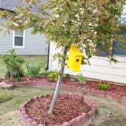 a bird house on a tree in a garden