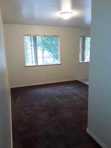 Image of carpeted room with two windows
