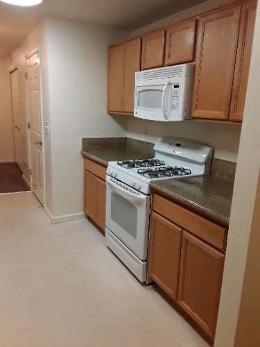 Image of stove, microwave, cabinets, and counter space