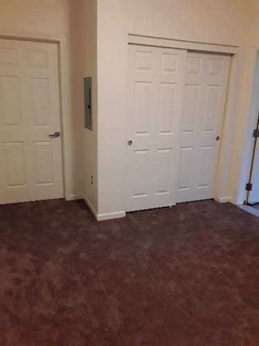 Image of closed closet in carpeted room