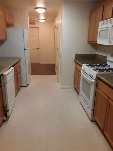 Image of stove, microwave, dishwasher, refrigerator, cabinets, and counter space