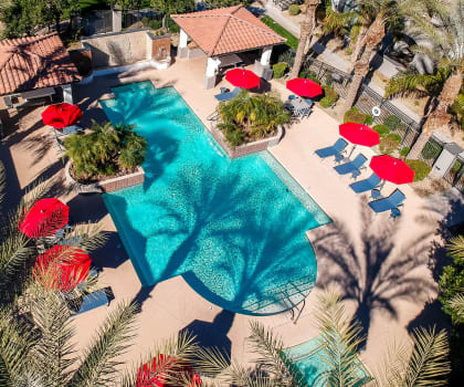 Aerial view of pool and lounge seating