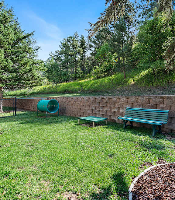 our apartments have a small yard with a bench and a tree