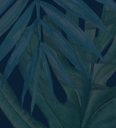 a close up of a green fern plant