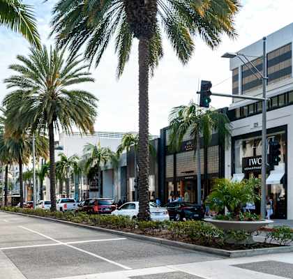 A street view with palm trees and a traffic light.