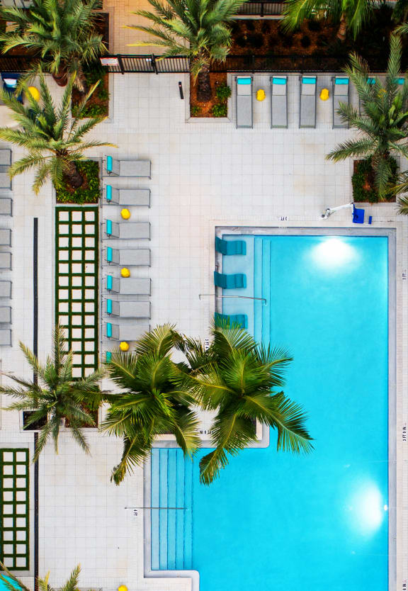 an aerial view of a pool with palm trees at The District at Rosemary, Florida, 34236