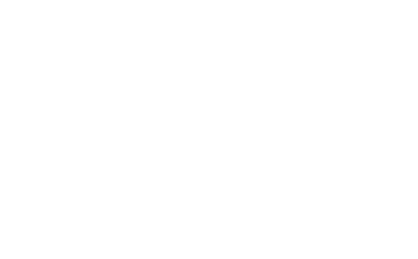 USA Logo