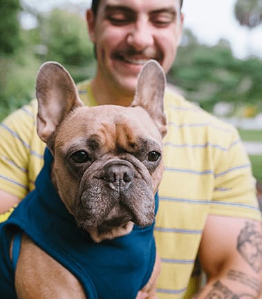 Man with French bulldog