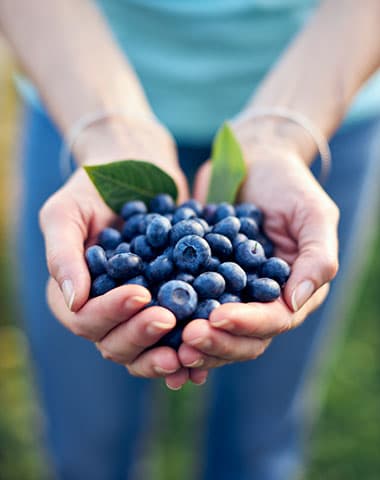 a person holding a bunch of blueberries in their hands