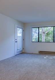 A room with a carpeted floor, a door, and a window with a view of trees outside.
