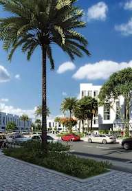 A palm tree stands in the middle of a street with cars and buildings in the background.