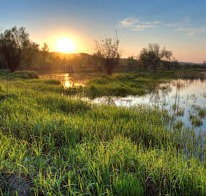 the sun sets over a pond in a grassy field at Casa Del Amo Apartments, Torrance, 90505