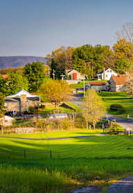 A road in a rural area with houses on the side.