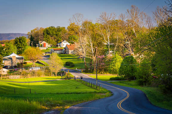 A road in a rural area with houses on the side.