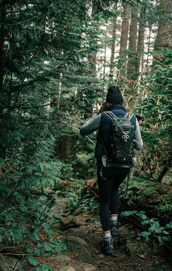 A person with a backpack is walking through a forest.