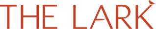 a red horror movie font on a black background