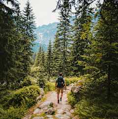 A person is walking on a rocky trail in a forest.