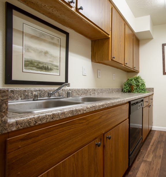 a kitchen with a sink and a stove and a refrigerator