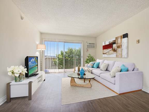 A living room with a couch, a coffee table, and a television.