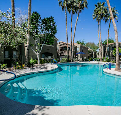 a large swimming pool surrounded by palm trees