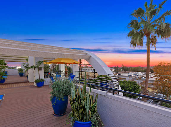 the roof terrace at Palm Royale Apartments, Los Angeles, CA