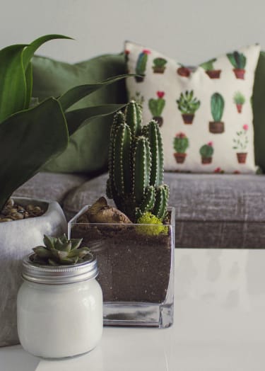a living room with plants and a couch at Balfour 296 in Lilburn, GA