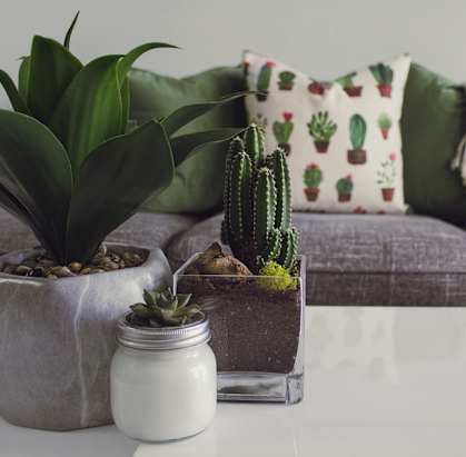 a living room with a couch and a table with plants on it