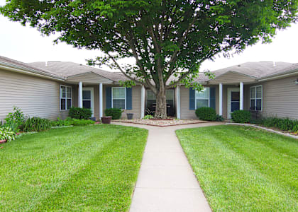 A tree in the middle of a grassy area in front of a building.
