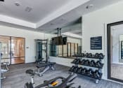 Thumbnail 21 of 49 - Gym at Imperial Crossing Luxury Apartment Homes, Florida