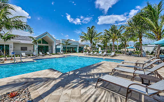 A pool surrounded by palm trees and lounge chairs.