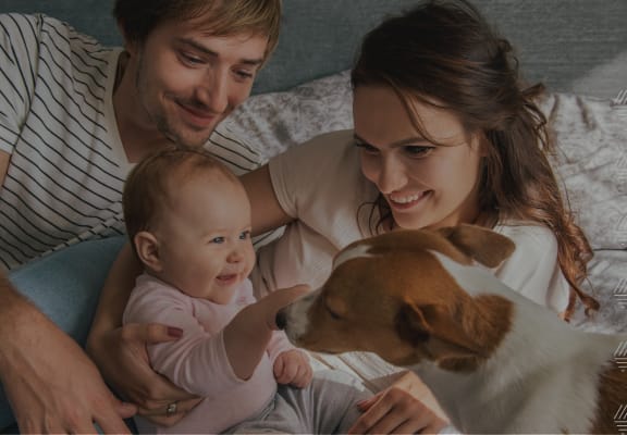 Mother and Father With Baby and Dog Laying in Bed