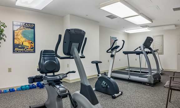 A gym with a treadmill, elliptical trainer and a stationary bike.