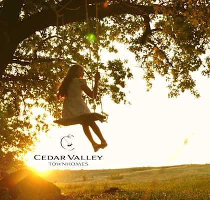 a girl swinging from a tree at sunset