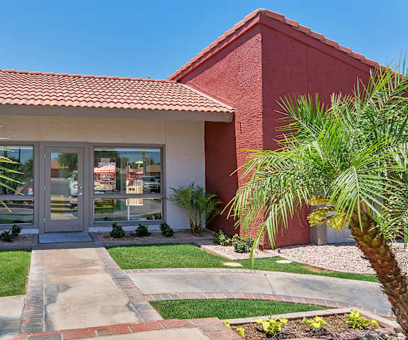 A red building with a glass door and a palm tree in front.