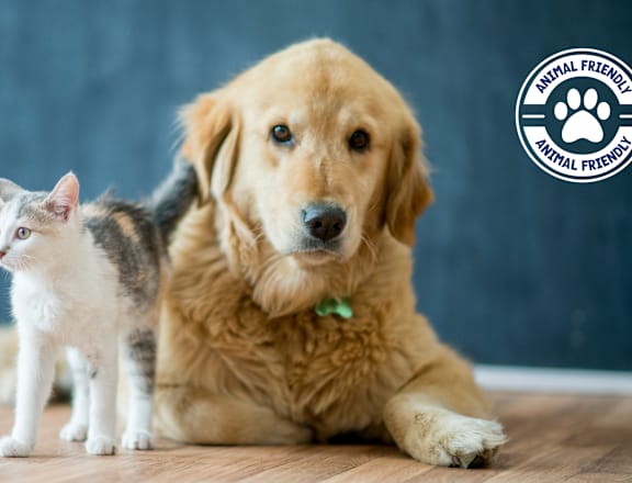 A dog and a cat are sitting next to each other.