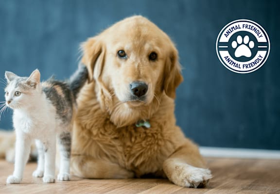 A dog and a cat are sitting next to each other on a wooden floor.