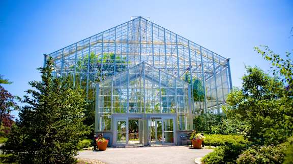 A large glass greenhouse with a metal frame stands in a landscaped garden.