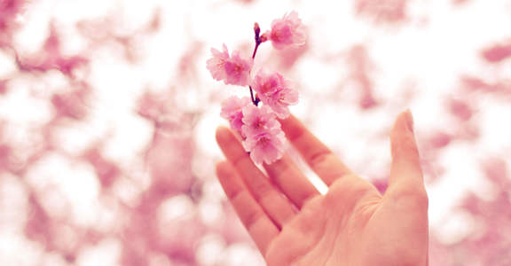 a hand holding a flower